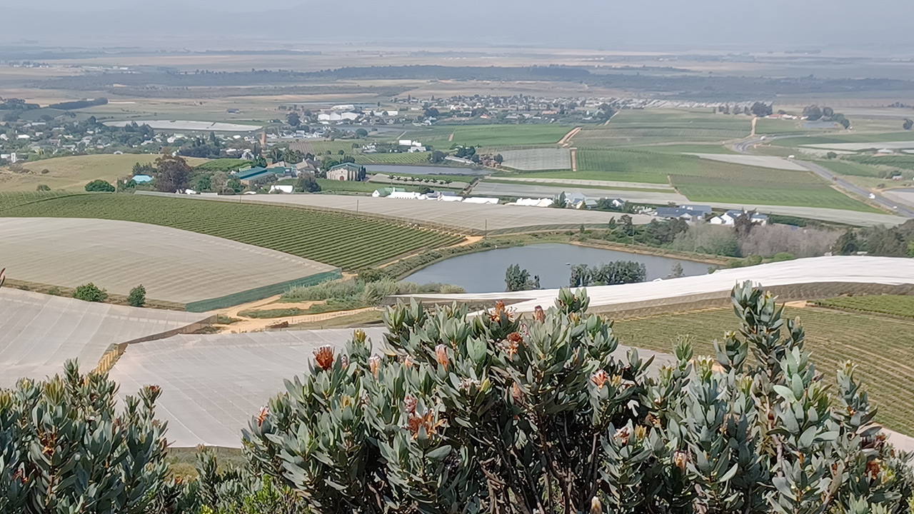 Gallery2-Riebeek-Kasteel-1