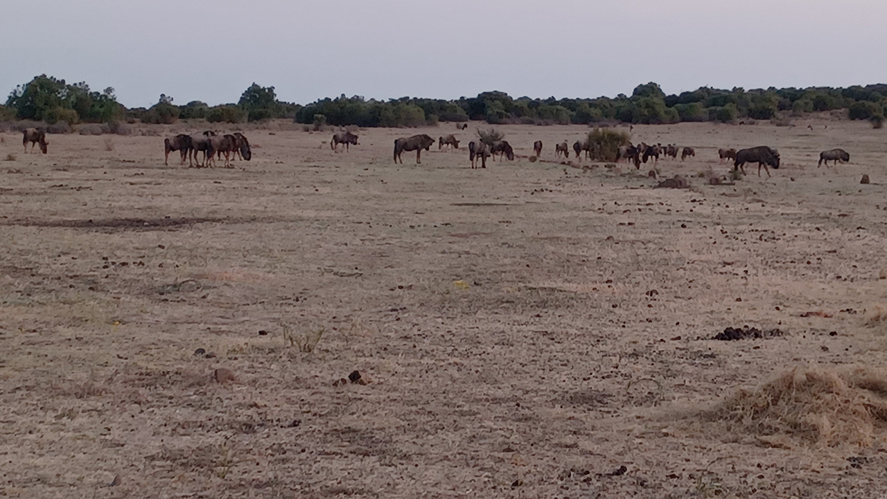 Bloemfontein-2