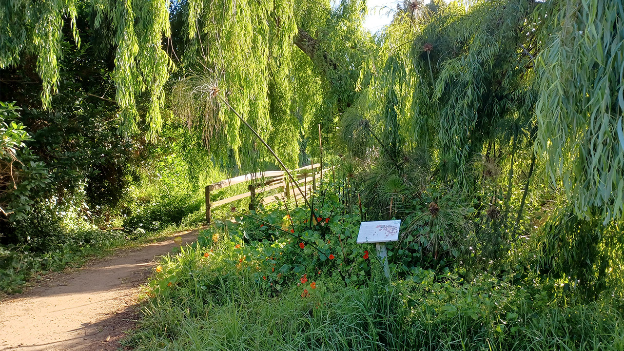 Feature-Tokai-Green-belt-1