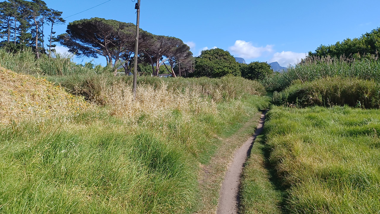 Feature-Tokai-Green-belt-6