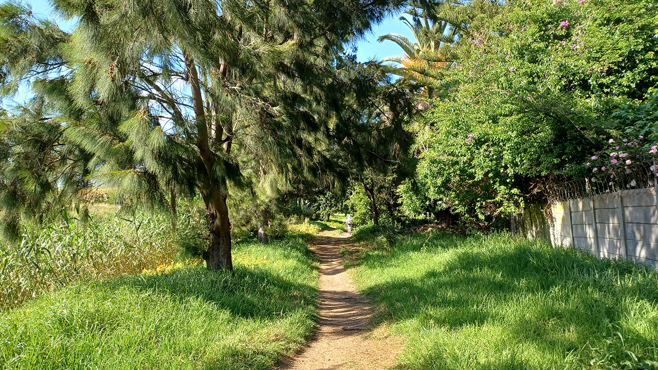 Feature-Tokai-Green-belt-7