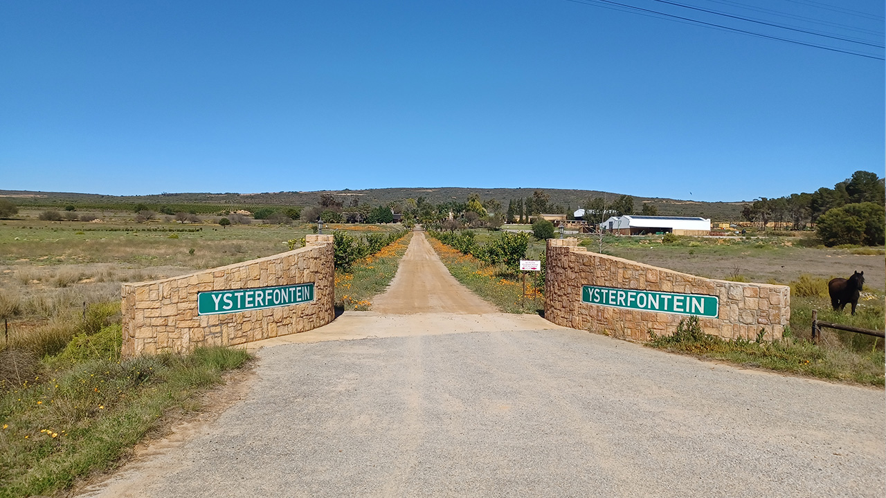 Ysterfontein-1