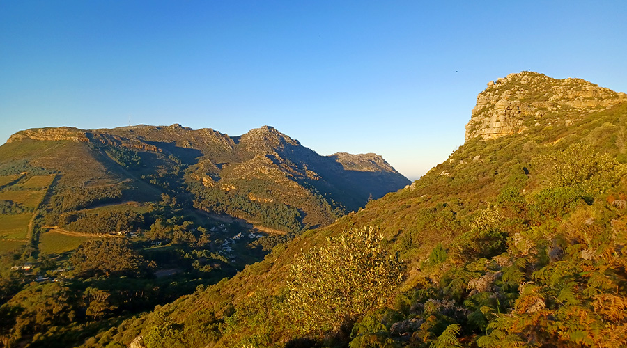 Gallery-Camel-Rock-Constantia-2