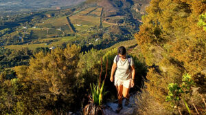 Gallery-Camel-Rock-Constantia-5