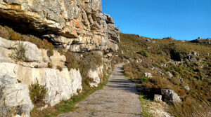 Gallery-Camel-Rock-Constantia-8