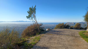 Gallery-Camel-Rock-Constantia-9