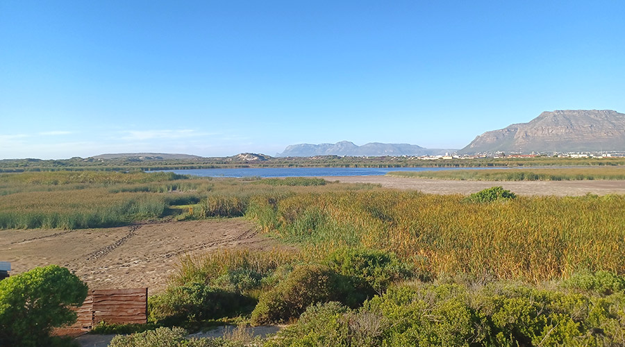 Gallery-Rondevlei-Nature-Reserve-5