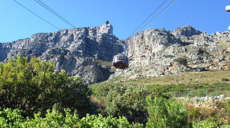 Gallery-Smuts-Walk-Cape-Town-19